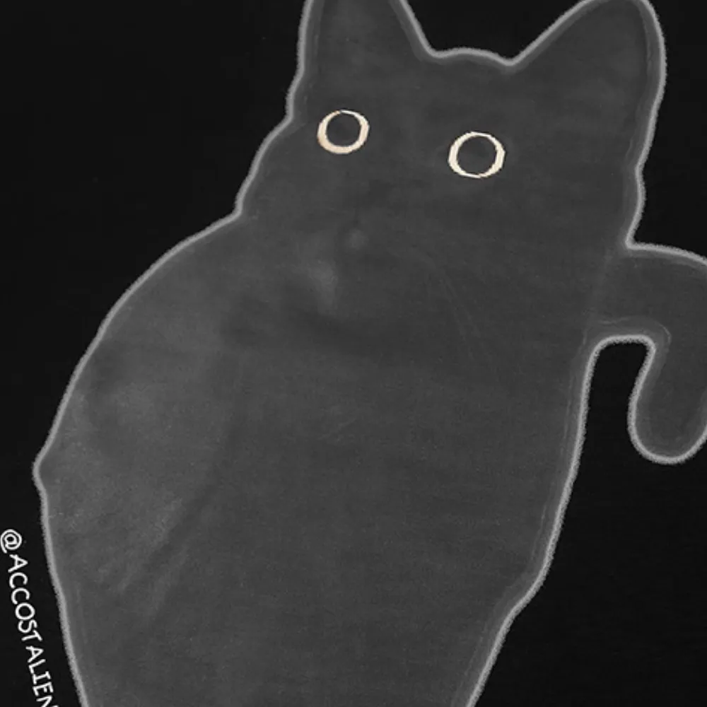 Apathy Little Black Cat T-shirt