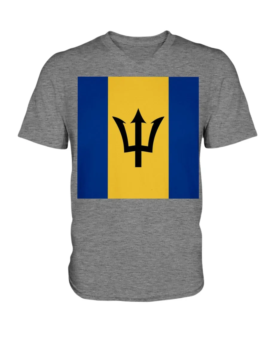 Barbados Flag  V-Neck T-Shirt