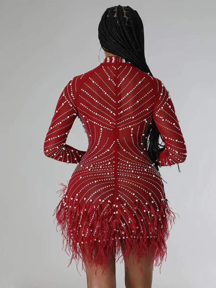 Feather Mesh Rhinestone Mini Dress