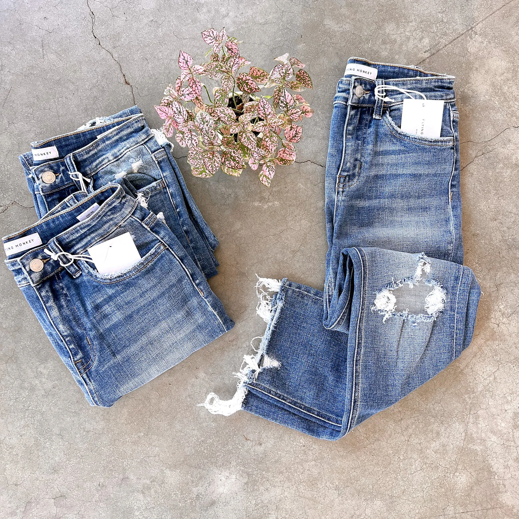 Holly Jeans (Flying Monkey)
