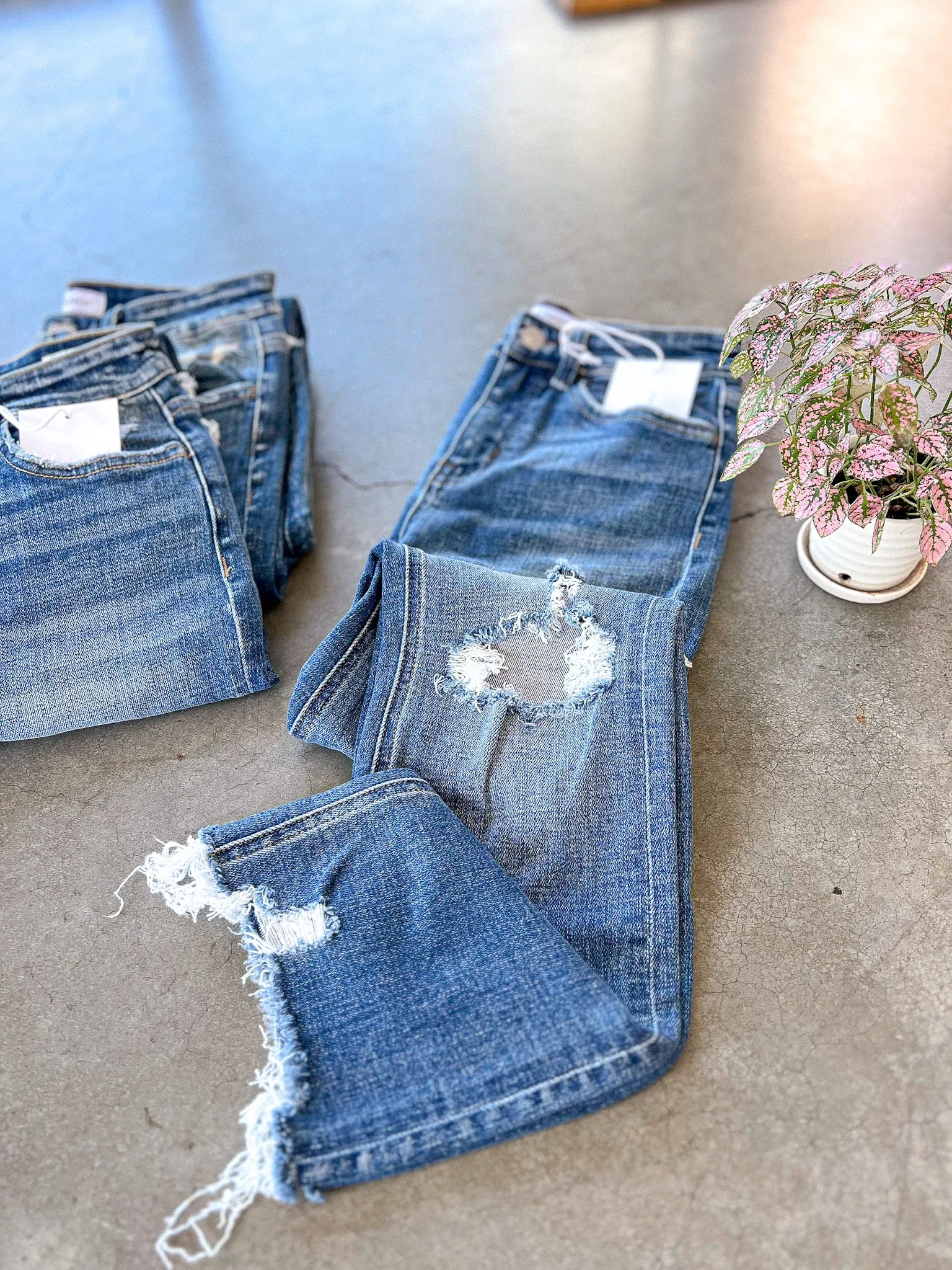 Holly Jeans (Flying Monkey)
