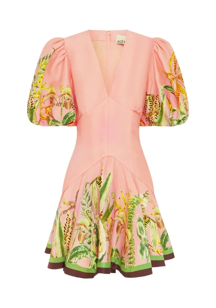 Papaya Mini Dress